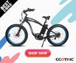 Ecotric Promos & Coupon Codes