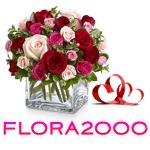 Flora2000 Coupon Codes