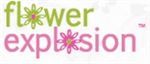 Flower Explosion Promos & Coupon Codes