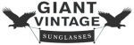 Giant Vintage Sunglasses