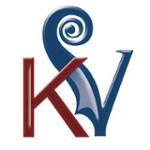 Kennedy Violins Promos & Coupon Codes