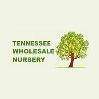 Tennessee Wholesale Nursery Promos & Coupon Codes