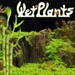 Wetplants Promos & Coupon Codes