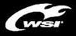WSI Sports Promos & Coupon Codes